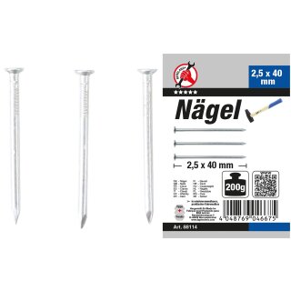 BGS Do it yourself Nägel-Sortiment | 200 g | 2,5 x 40 mm