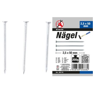 BGS Do it yourself Nägel-Sortiment | 200 g | 2,5 x 50 mm