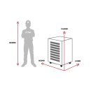 Sonic Equipment Werkstattwagen S8 gefüllt 250-tlg. Next