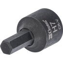 Condor Bremssattel-Spezialeinsatz, 3/8", Spezial...
