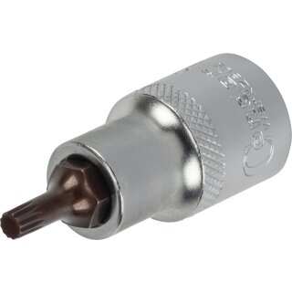 Condor Bit-Stecknuss, xcess performance, 1/2", Vielzahn M5x55 mm