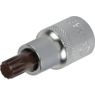 Condor Bit-Stecknuss, xcess performance, 1/2", Vielzahn M10x55 mm