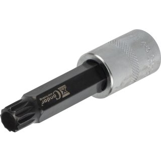 Condor Bit-Stecknuss, xcess performance, 1/2", Vielzahn M14x100 mm