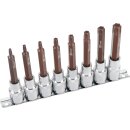 Condor Bit-Stecknüsse, xcess performance, 8-tlg.,...
