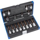 Condor Bit-Stecknüsse, xcess performance, 16-tlg.,...