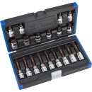 Condor Bit-Stecknüsse, xcess performance, 19-tlg.,...