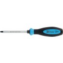 Condor Schraubendreher, Profi, Schlagkappe, Kreuz PH2x100 mm