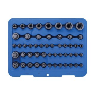 BGS technic Bit-Einsatz- und Steckschlüssel-Einsatz-Satz | E-Profil / T-Profil (für Torx) / T-Profil (für Torx) mit Bohrung / TP-Profil (für Torx Plus) | 52-tlg.